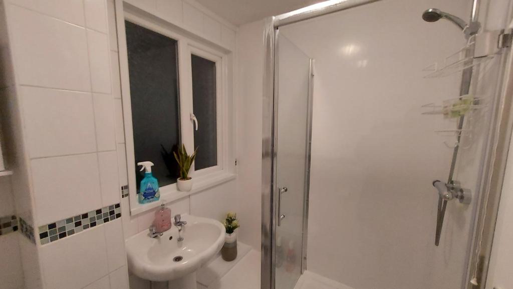 CENTRAL HAVEN -5 BEDROOMS IN CANTERBURY