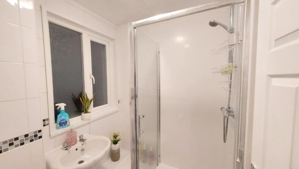 CENTRAL HAVEN -5 BEDROOMS IN CANTERBURY