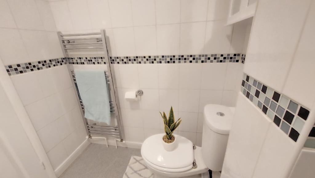 CENTRAL HAVEN -5 BEDROOMS IN CANTERBURY